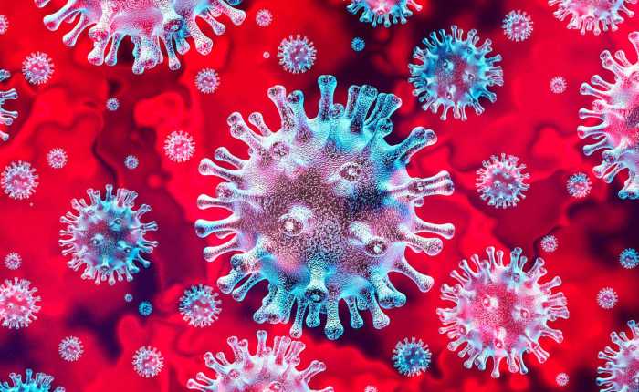 Aspectos Destacados del Webinar “Manejo del Mieloma Múltiple en la pandemia Covid-19: GEM-PETHEMA